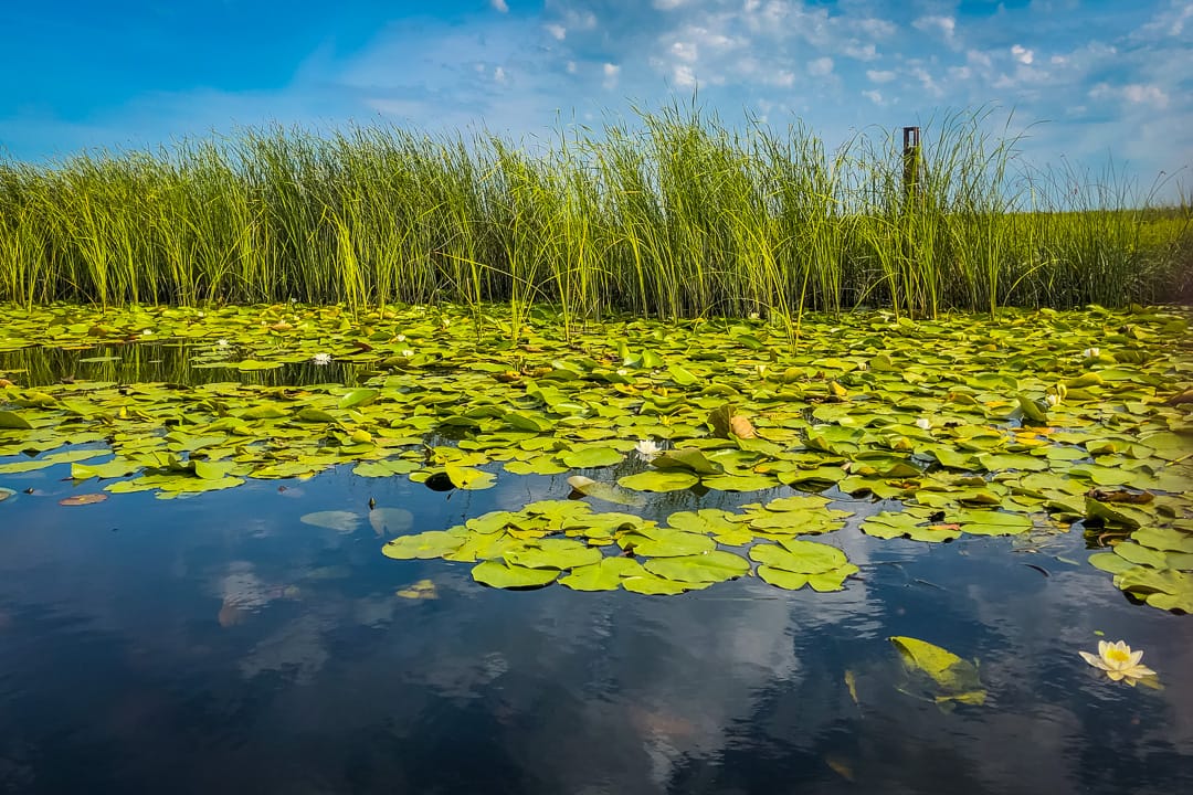 Danube Delta